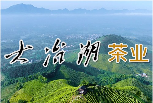 文章封面图片