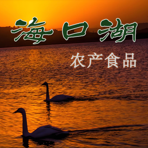 海口湖农产食品