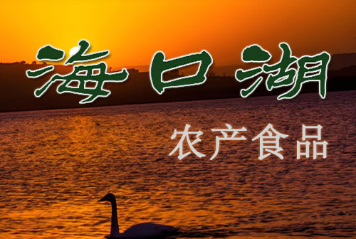 文章封面图片